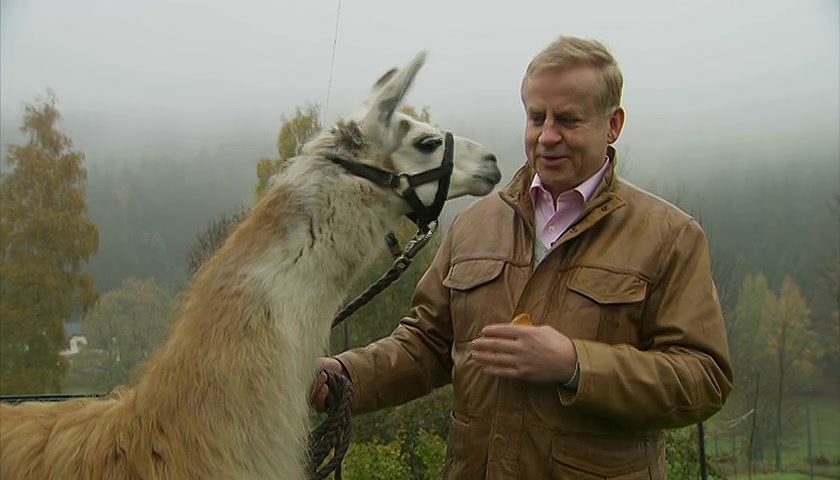 食物美学 Food Design