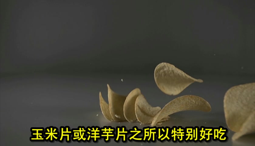 食物美学 Food Design