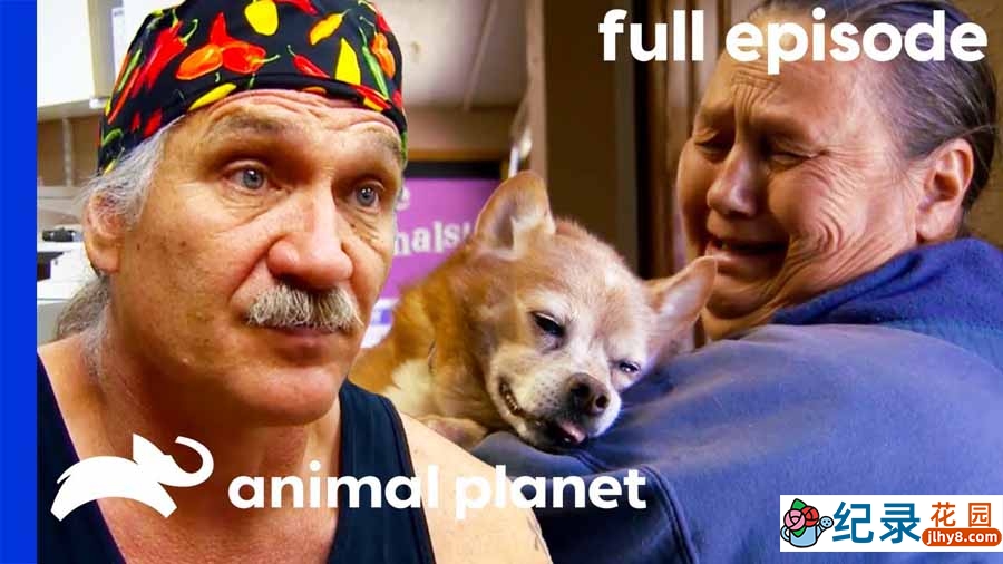 动物救治纪录片《热血兽医师 Dr. Jeff：Rocky Mountain Vet》第5季全12集中字 纪录片解说素材百度云盘下载 1080P/MP4/29.1G