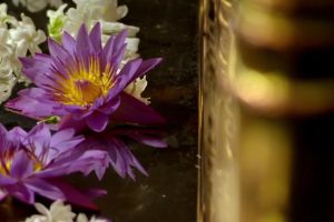 佛教世界的七大奇观 Seven Wonders of the Buddhist World