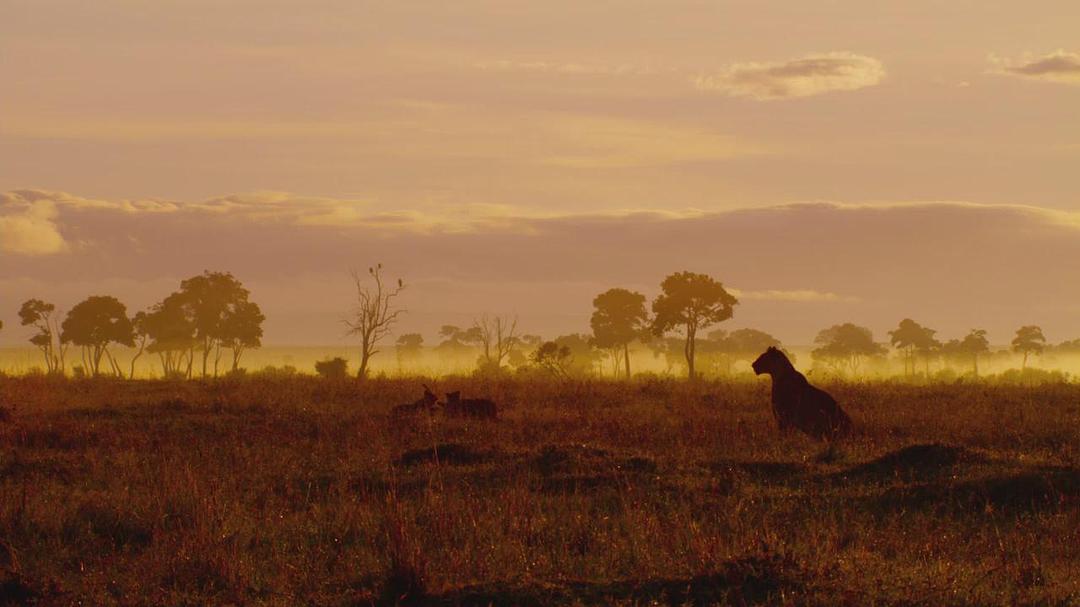 魔法王国 Enchanted Kingdom 3D