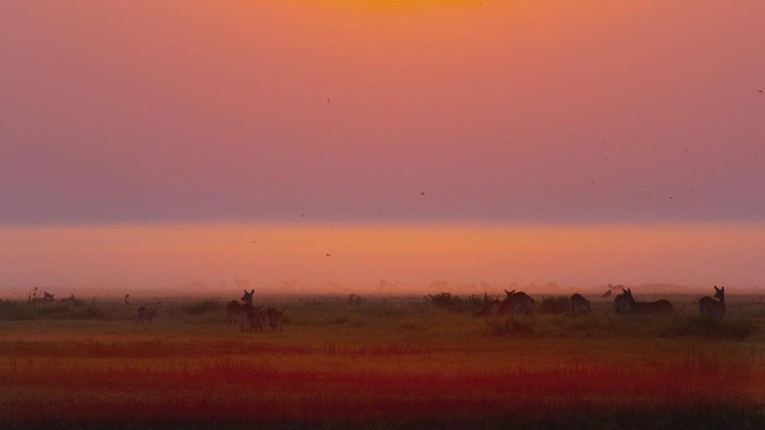 魔法王国 Enchanted Kingdom 3D