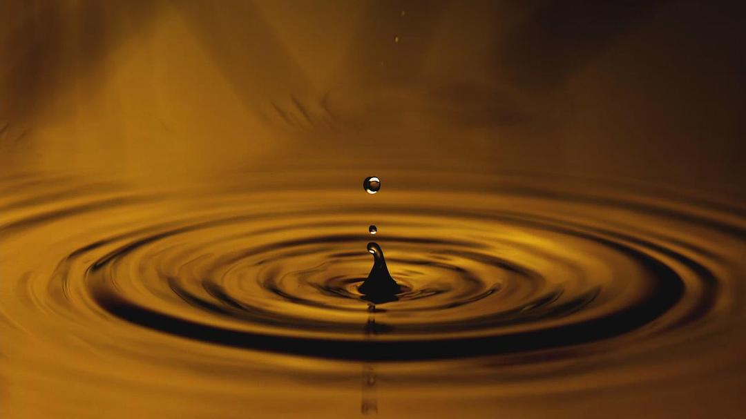 魔法王国 Enchanted Kingdom 3D