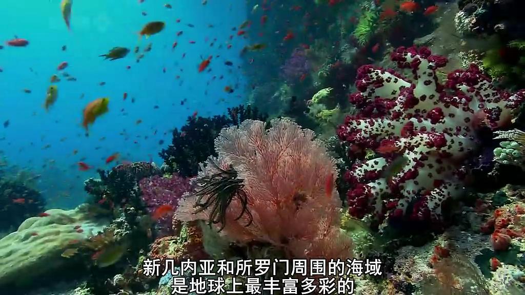 南太平洋 South Pacific