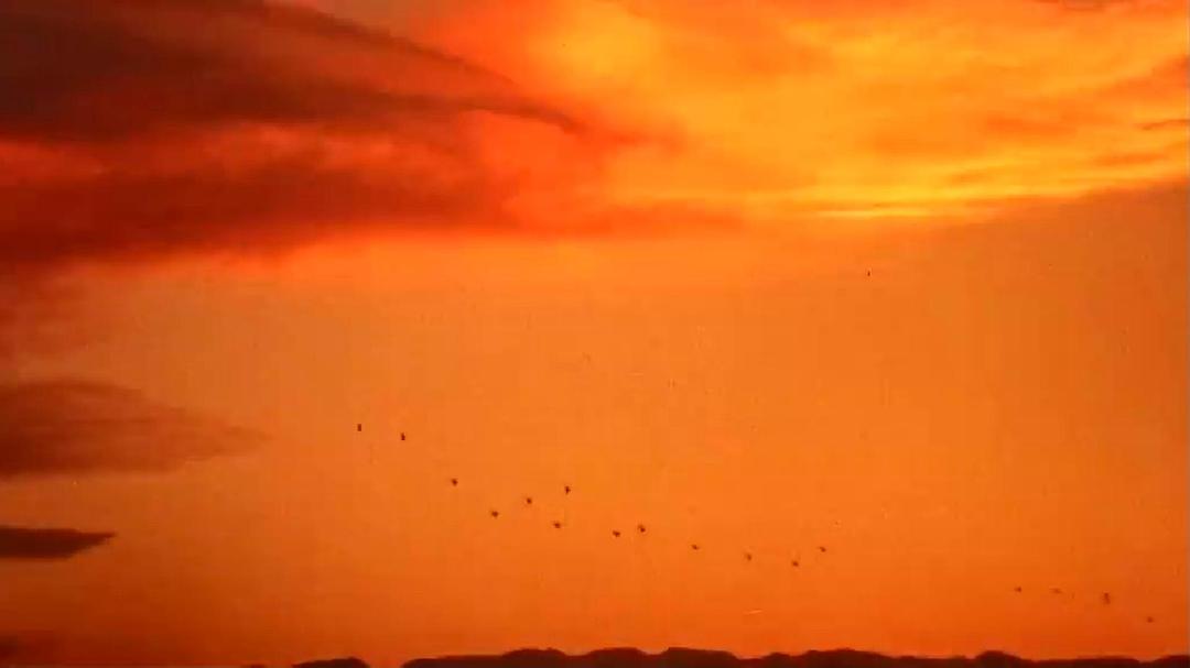 尘封核爆 Trinity and Beyond: The Atomic Bomb Movie