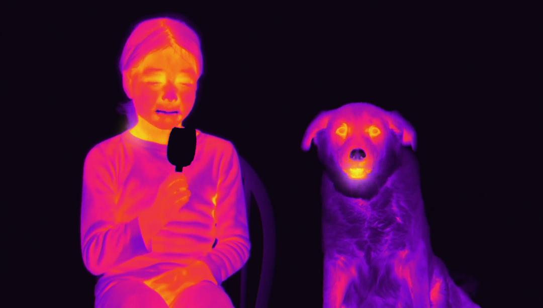 未知世界的秘密 Mysteries of the Unseen World