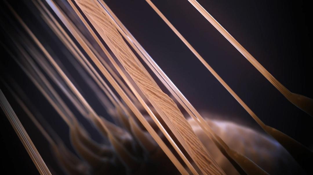 未知世界的秘密 Mysteries of the Unseen World