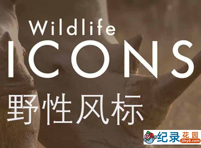 非洲野生动物纪录片《野性风标 Wild Life Icons》第1季中字 1080P纪录片资源百度云盘下载