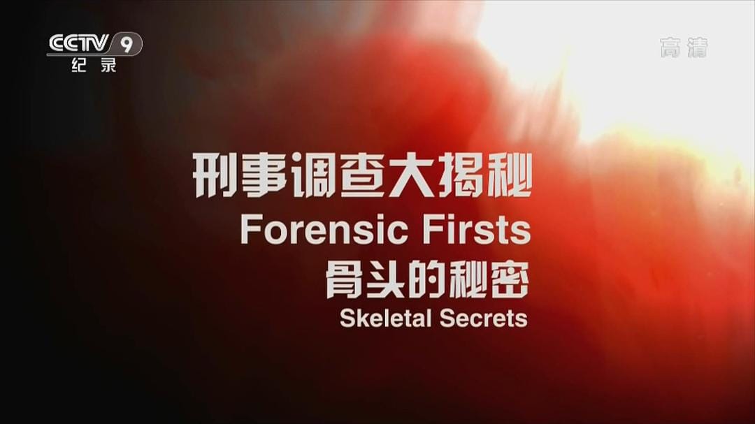 刑事调查大揭秘 第一季 Forensic Firsts Season 1