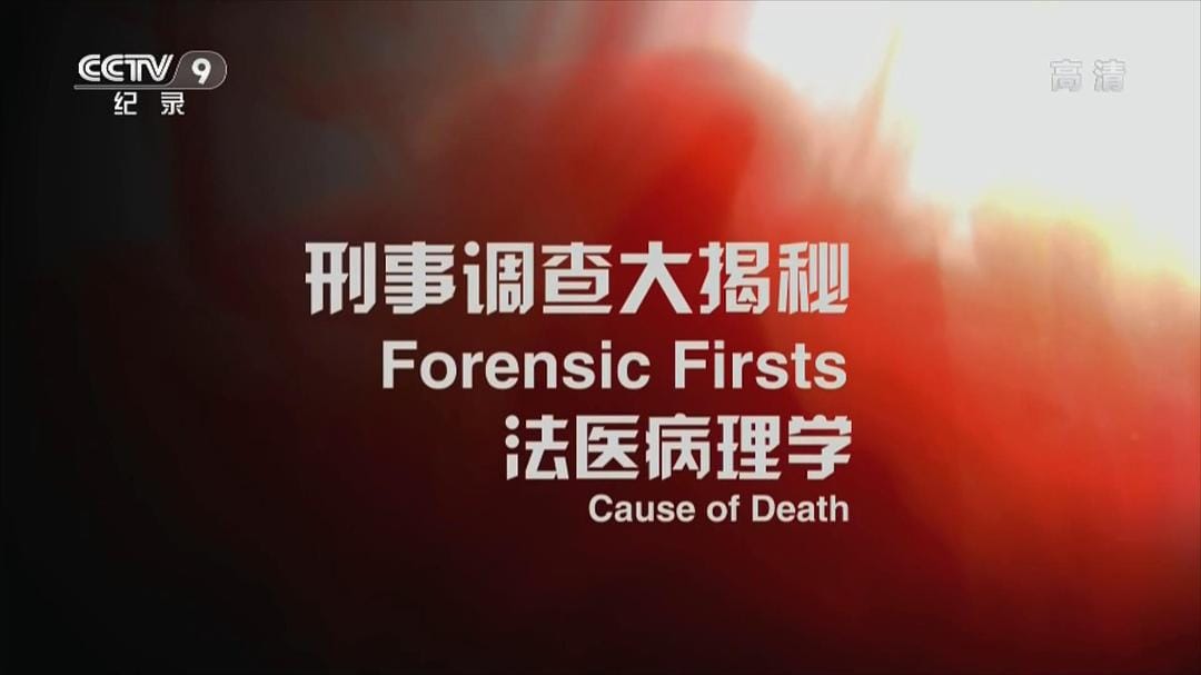 刑事调查大揭秘 第一季 Forensic Firsts Season 1
