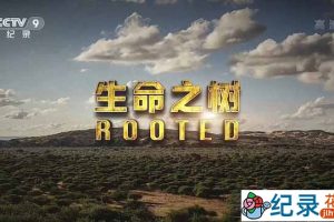 央视野生植物纪录片《生命之树 Rooted》全5集 TS/蓝光高清纪录片资源百度云盘下载