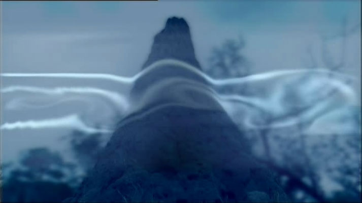 灌丛下的生命 Life in the Undergrowth