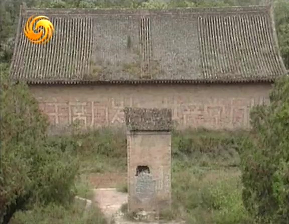 世纪行过：张学良传 世紀行過：張學良傳