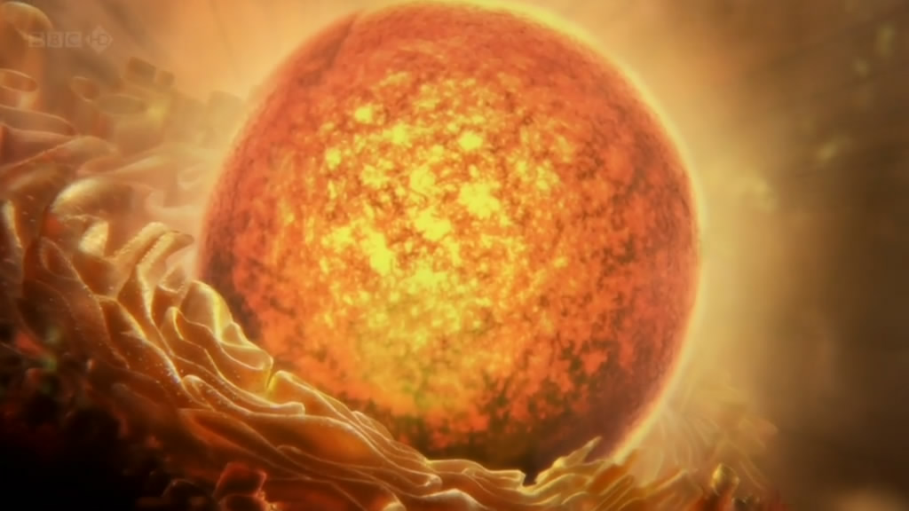 人体奥妙之细胞的暗战 Our Secret Universe: The Hidden Life of the Cell