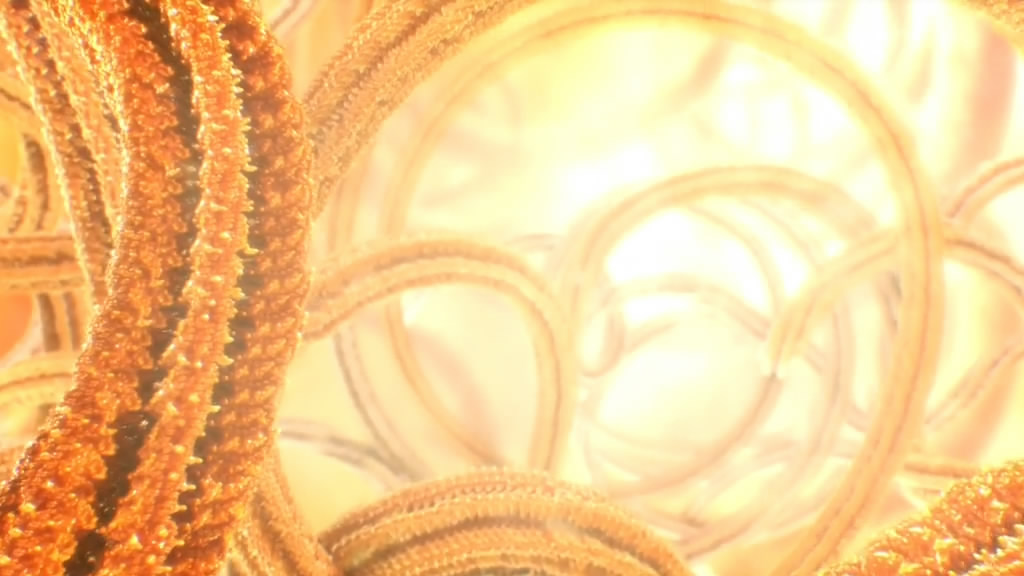 人体奥妙之细胞的暗战 Our Secret Universe: The Hidden Life of the Cell