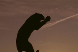 与虎同行 Living With Tigers