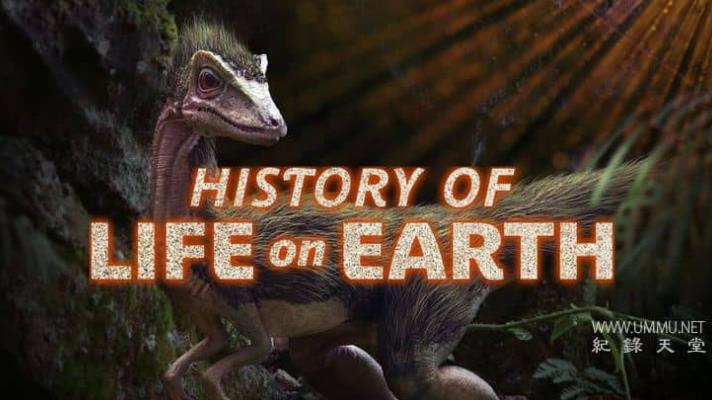 地球生命史 History Of Life On Earth