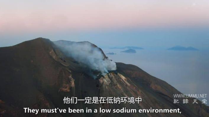 地球生命史 History Of Life On Earth