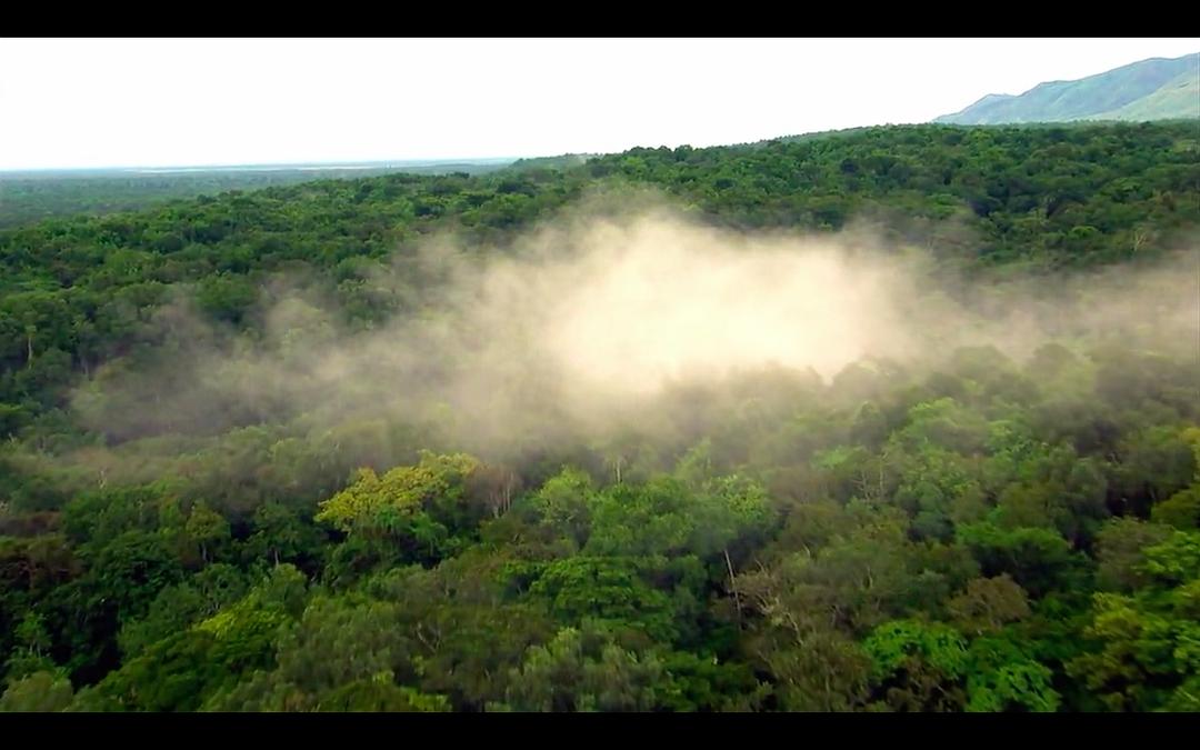 大陆的崛起 Rise of the Continents