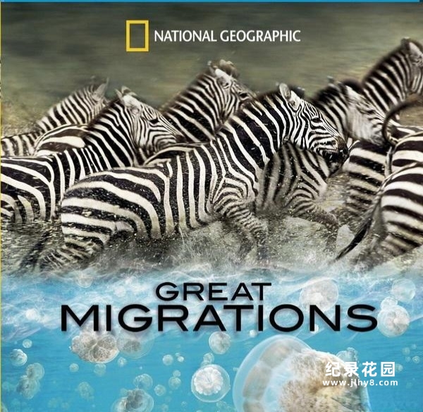 国家地理野生动物纪录片《大迁徙 Great Migrations》全6集 720P/1080i高清纪录片百度云