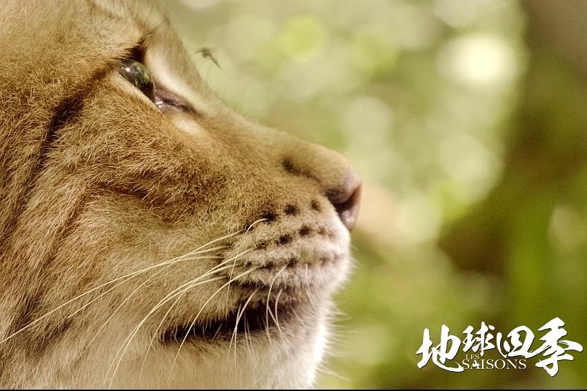 地球四季 Les saisons