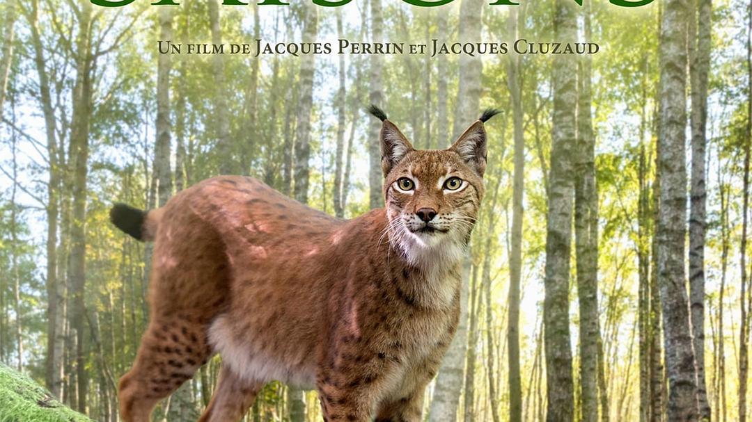 地球四季 Les saisons