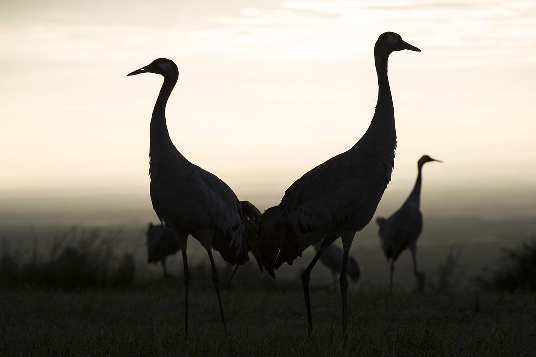 地球四季 Les saisons