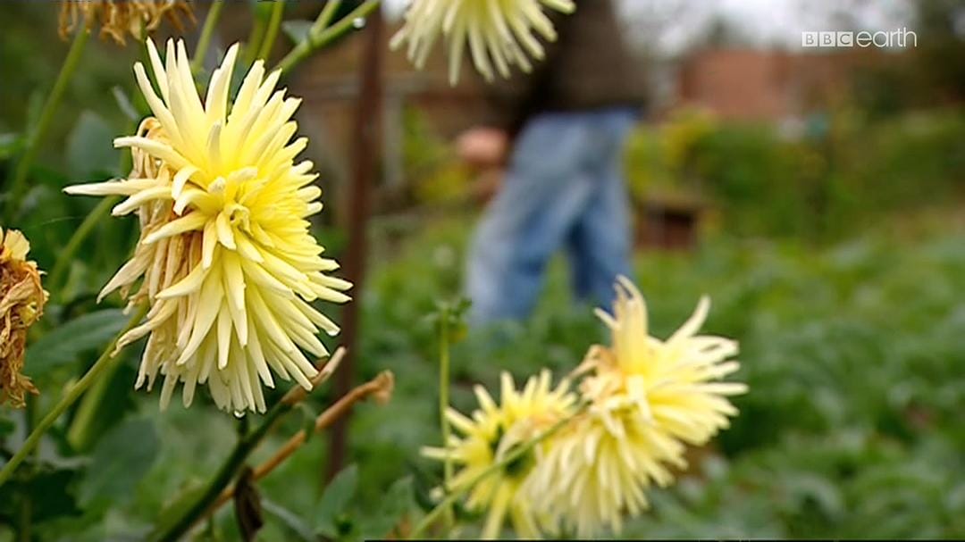 睡眠十律 10 Things You Need to Know About Sleep