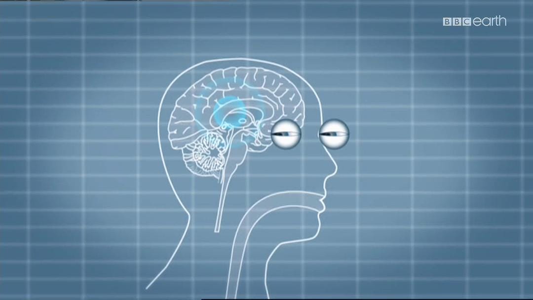 睡眠十律 10 Things You Need to Know About Sleep