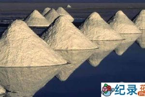 PBS阿尔特·沃尔夫终极之旅纪录片《世界的边缘 Travels to the Edge with Art Wolfe》第2季 720P/1080i高清纪录片百度云下载