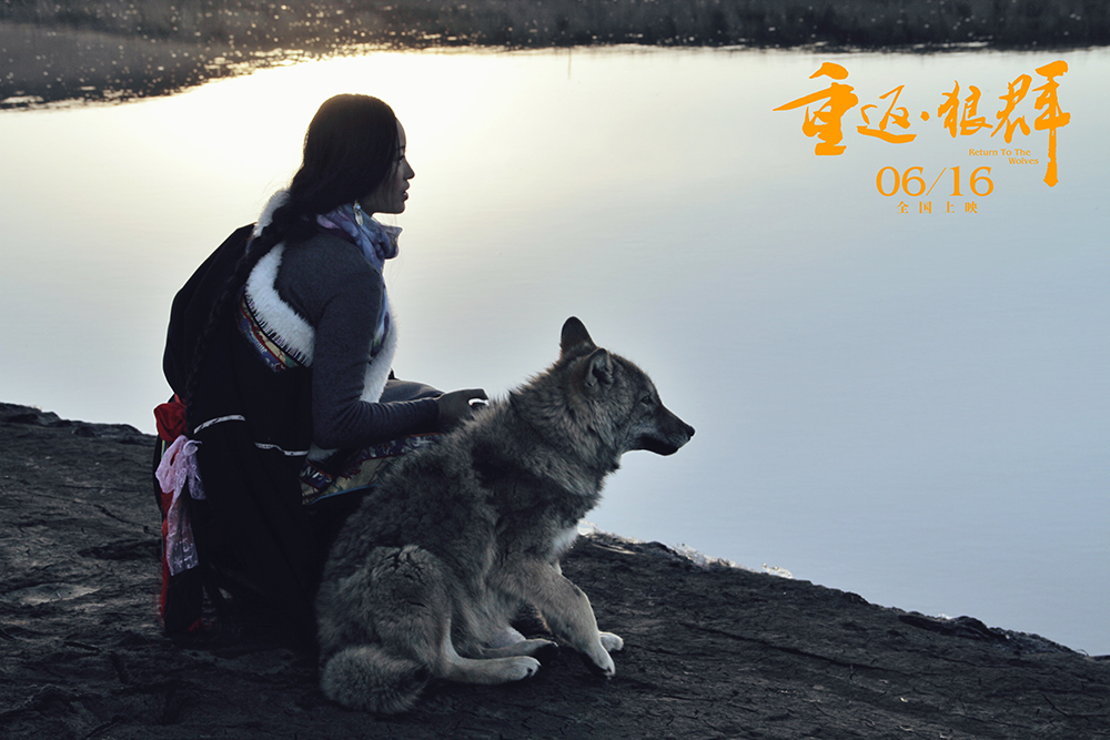 重返·狼群