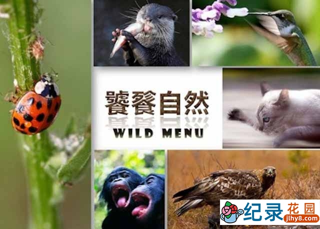 自然生物纪录片《饕餮自然 Wild Menu》第1季 720P/1080i高清纪录片资源百度云盘下载