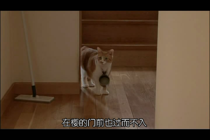 猫咪物语3 にゃんこ THE MOVIE3
