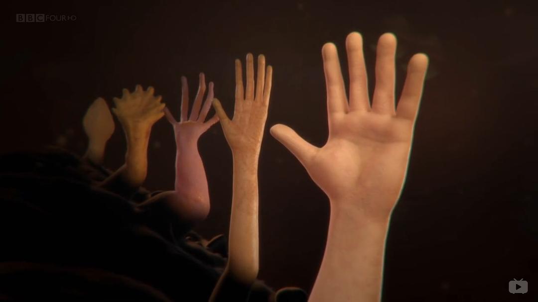 你体内的鱼 Your Inner Fish