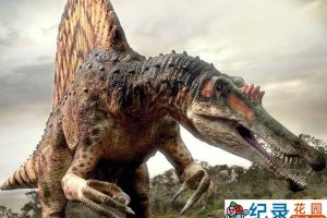 德国ZDF史前生物纪录片《恐龙星球 Der Dino-Planet》全3集 720P/1080i高清纪录片百度云下载