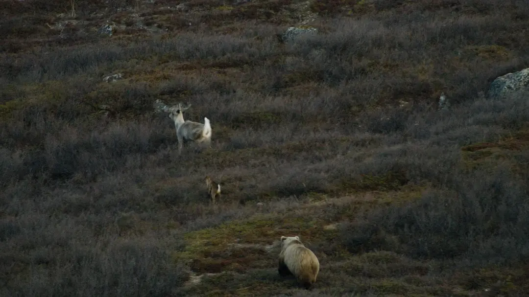 美丽美利坚 America the Beautiful