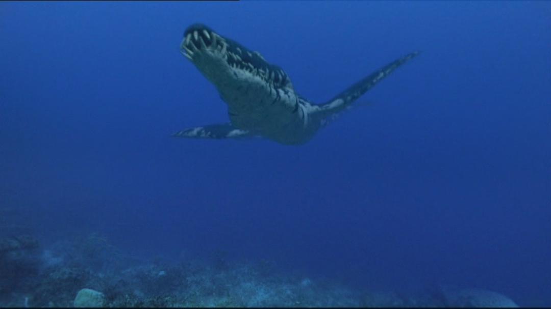 与恐龙同行 Walking with Dinosaurs