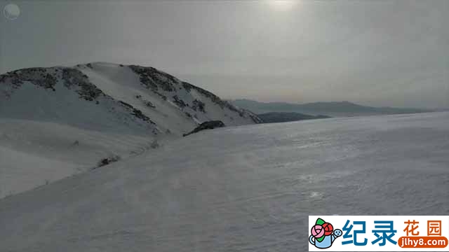 NHK自然生态纪录片《日本印象派 通往白山花田的路》全1集中字 720P高清纪录片资源百度云盘下载