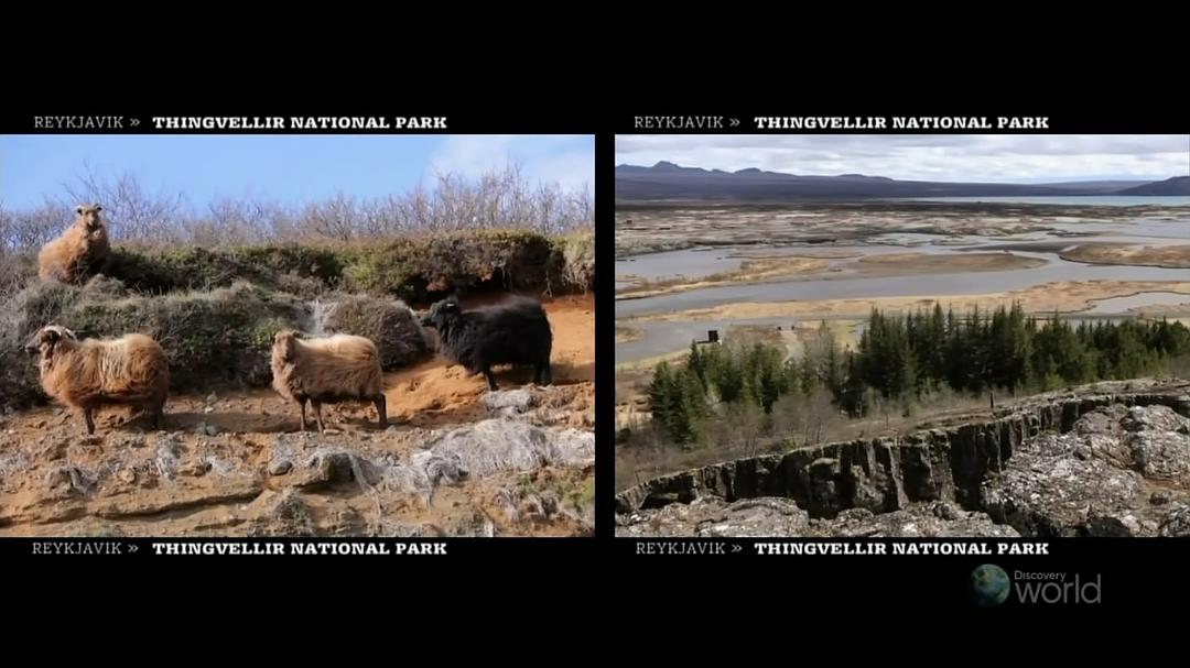 世界海滨之城 Waterfront Cities of the World