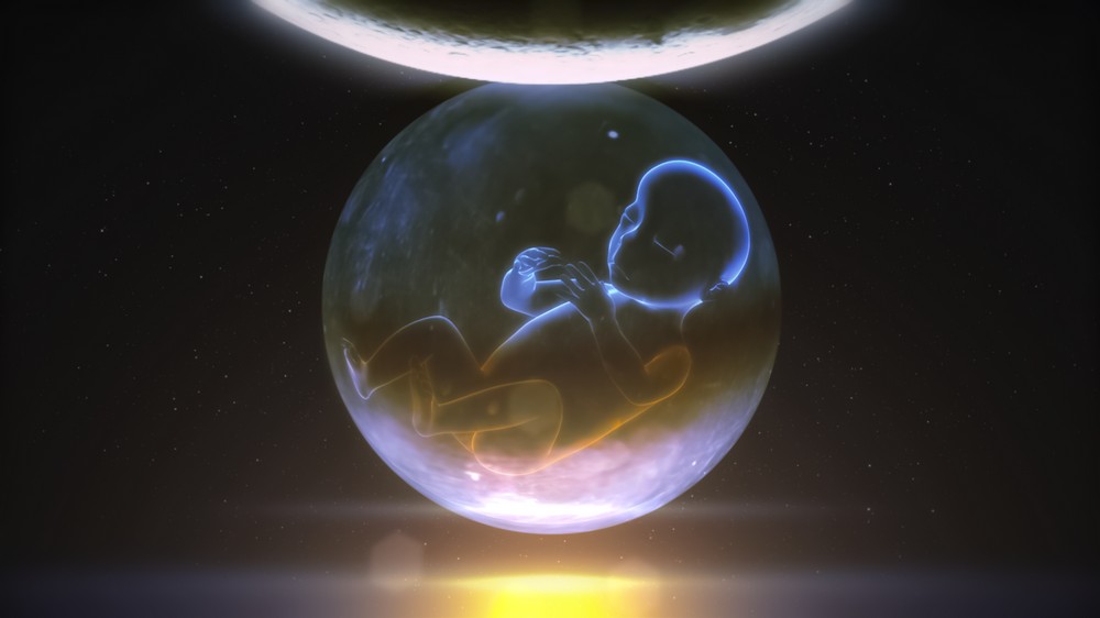 生死与轮回 Life Death &amp; Reincarnation