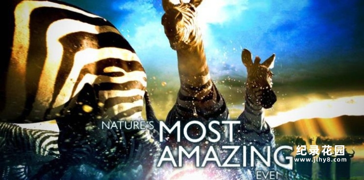 BBC自然生态纪录片《自然界大事件 Nature’s Great Events》全6集 720P/1080i高清纪录片资源百度云盘下载