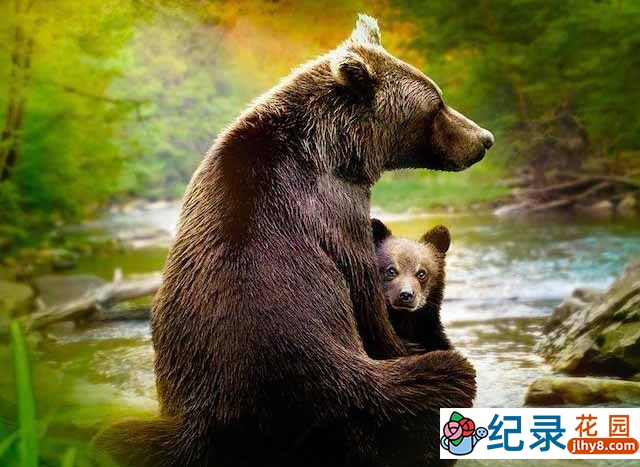 迪士尼野生动物纪录片《动物成长 Growing Up Animal》全6集中字 1080P纪录片资源百度云盘下载