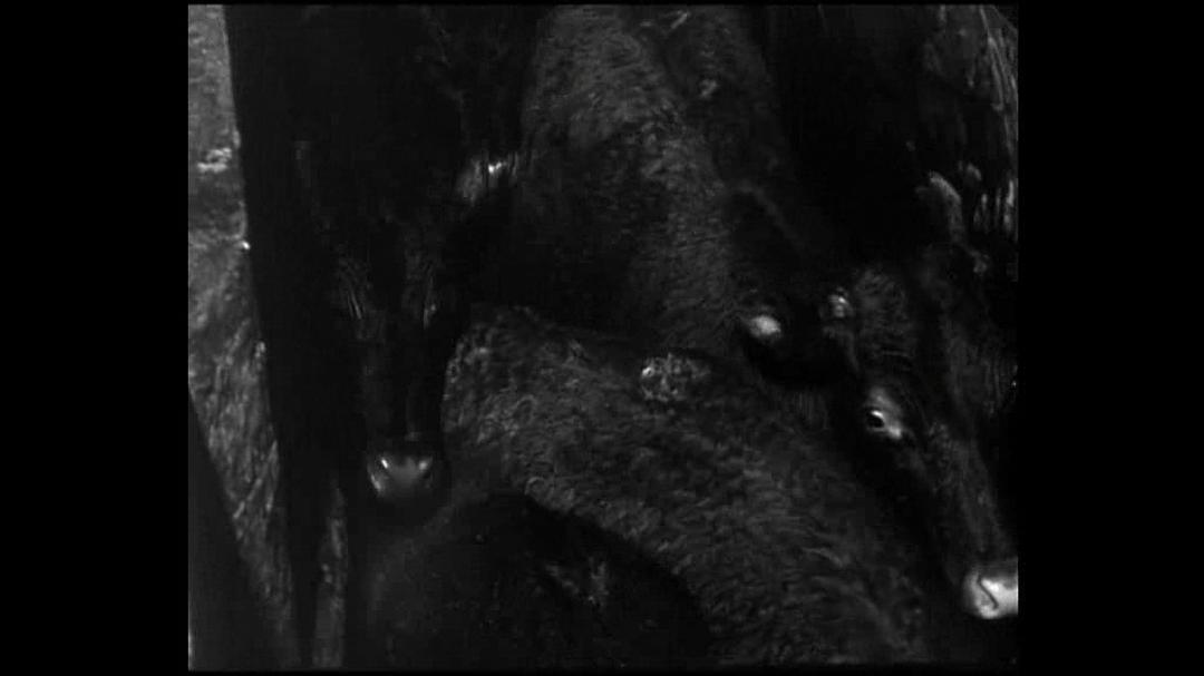 燃火的时刻 Hora de los hornos