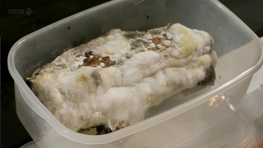 生命循环：奇异的腐烂科学 After Life: The Strange Science of Decay