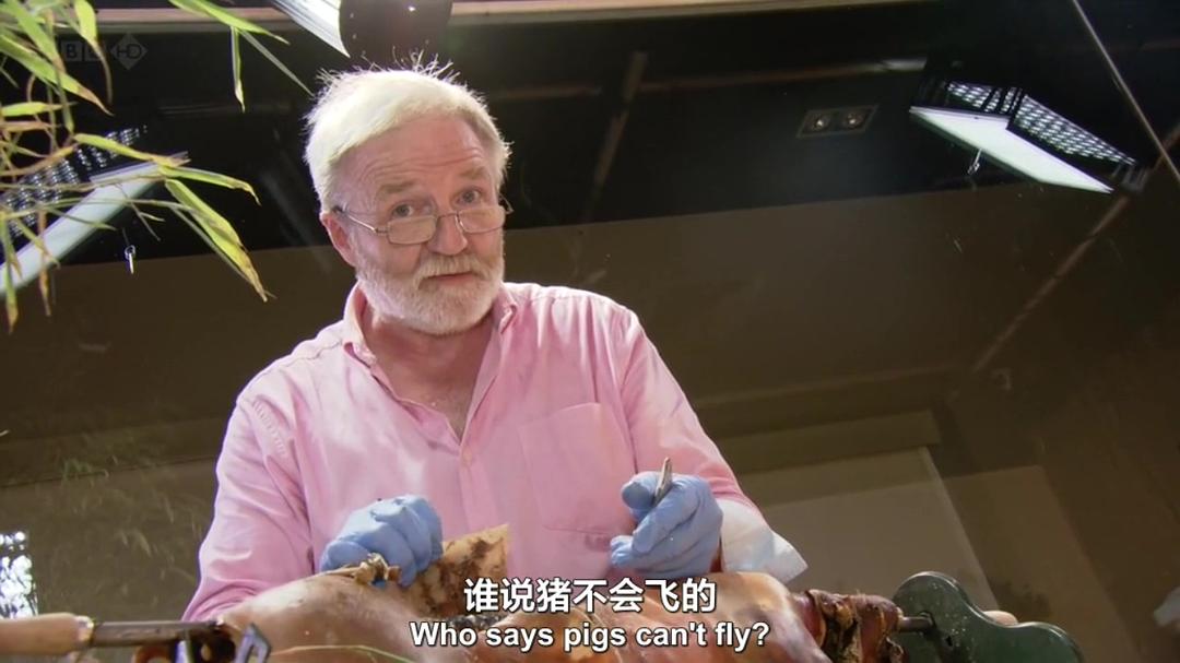 生命循环：奇异的腐烂科学 After Life: The Strange Science of Decay