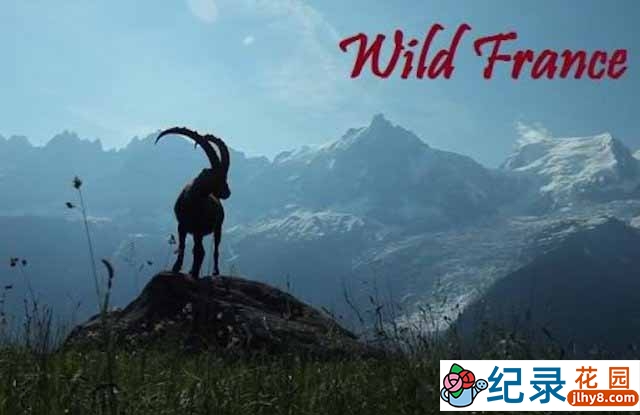 法国自然生态纪录片《野性法国 Wild France》全2集 720P/1080i高清纪录片资源百度云下载