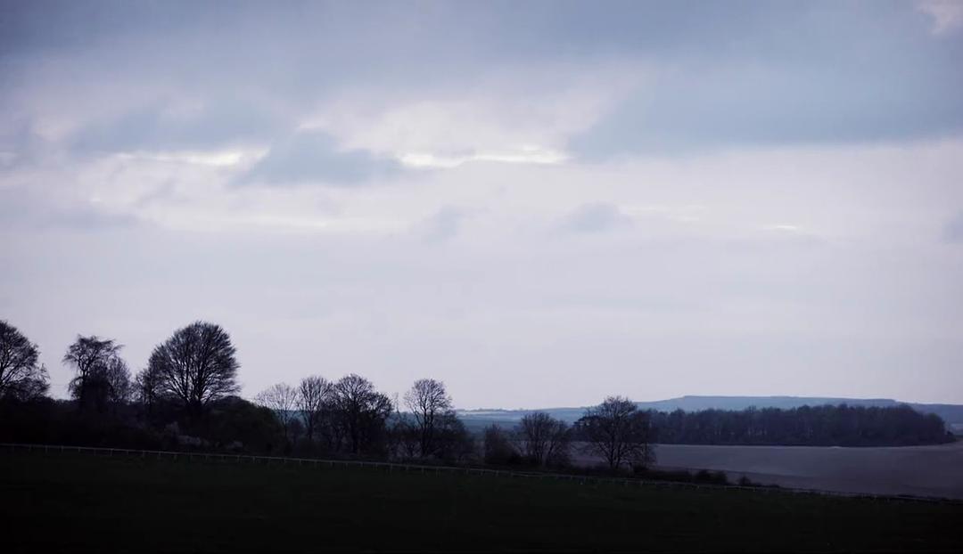 AP·麦考伊的冠军人生  Being AP