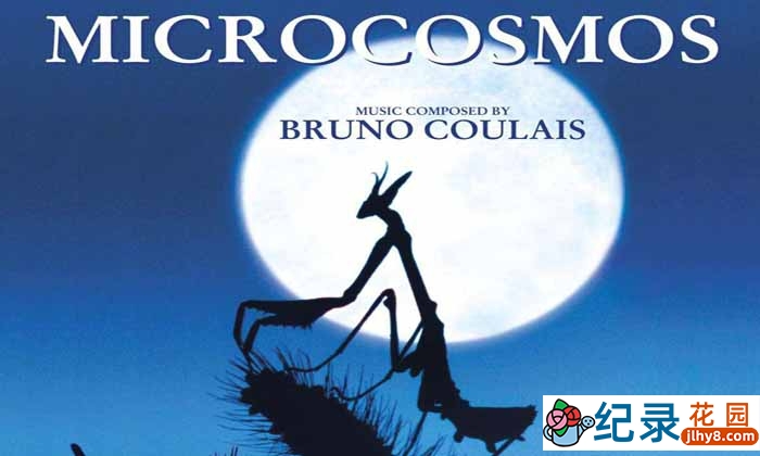 自然生态纪录片《天地人三部曲：微观世界 Microcosmos》全1集 720P/1080i高清纪录片百度云下载