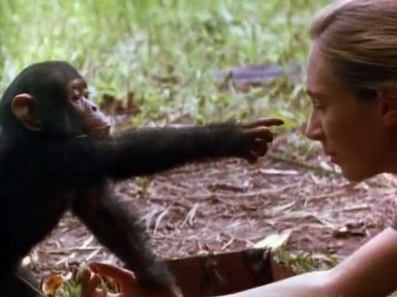 国家地理：时空大冒险 Adventures in Time: The National Geographic Millennium Special