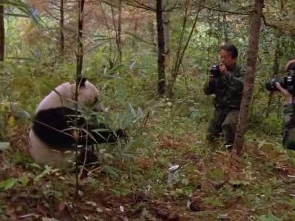 国家地理：时空大冒险 Adventures in Time: The National Geographic Millennium Special